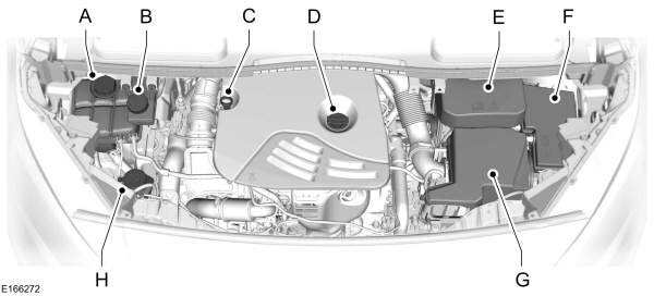 Image Shown Without Description