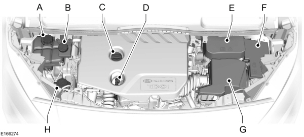 Image Shown Without Description