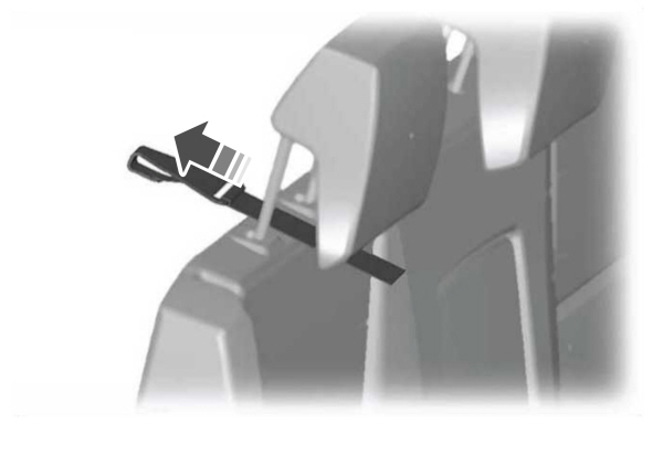 Image Shown Without Description