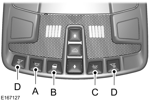 Image Shown Without Description