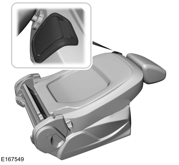Image Shown Without Description