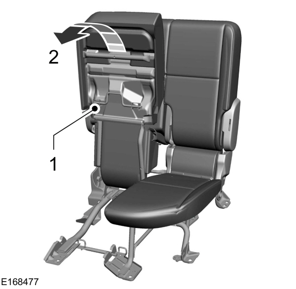 Image Shown Without Description