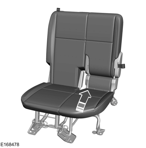 Image Shown Without Description