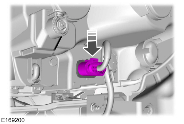 Image Shown Without Description