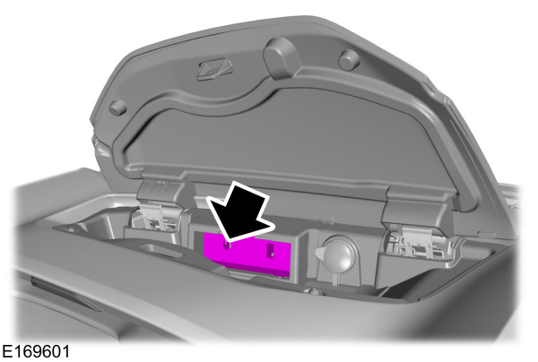 Image Shown Without Description