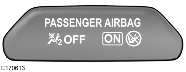 Image Shown Without Description