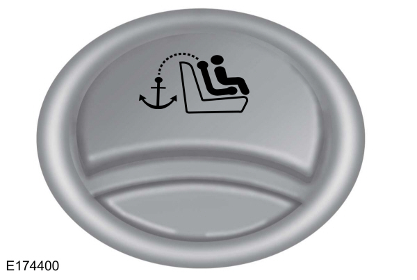 Image Shown Without Description