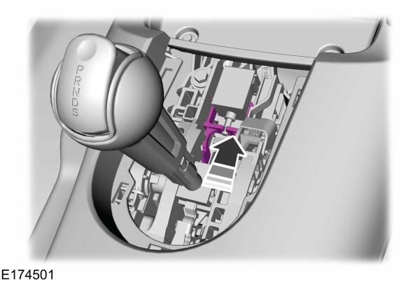 Image Shown Without Description