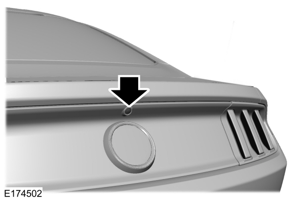 Image Shown Without Description