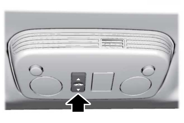 Image Shown Without Description