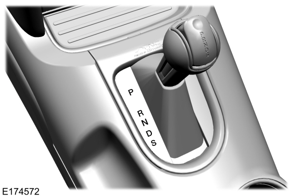 Image Shown Without Description