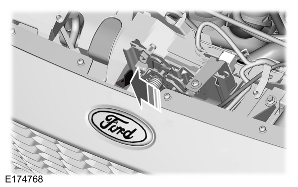 Image Shown Without Description