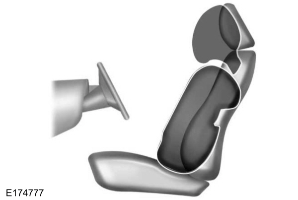 Image Shown Without Description