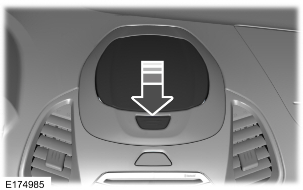 Image Shown Without Description