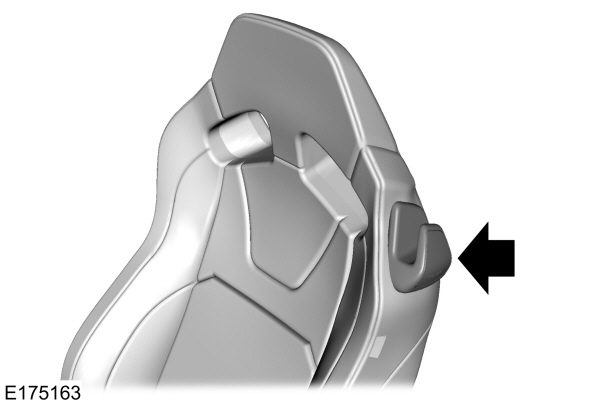 Image Shown Without Description