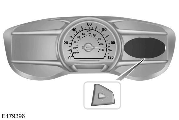 Image Shown Without Description