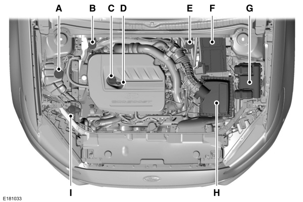 Image Shown Without Description