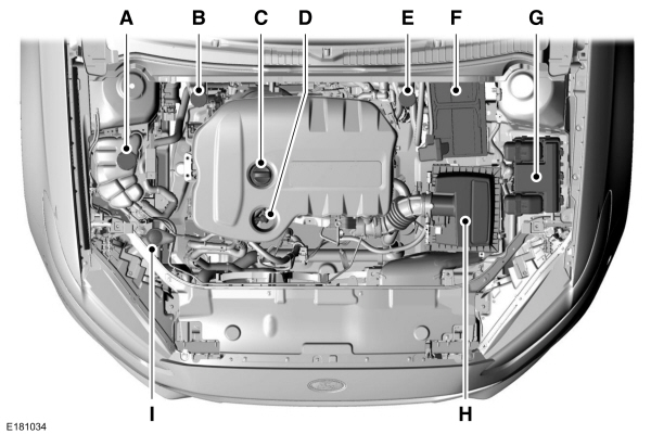 Image Shown Without Description