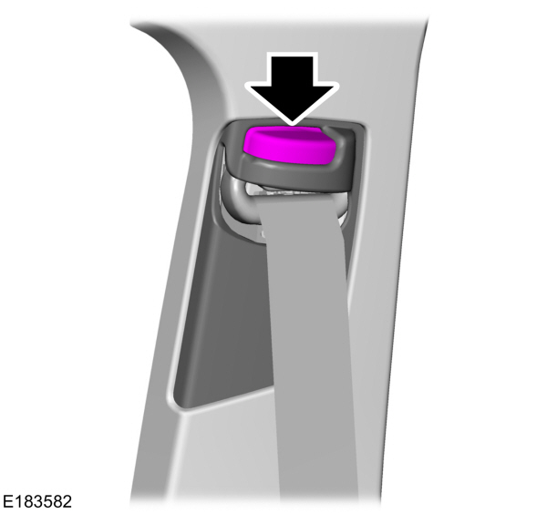 Image Shown Without Description