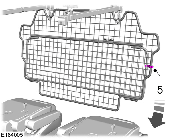 Image Shown Without Description