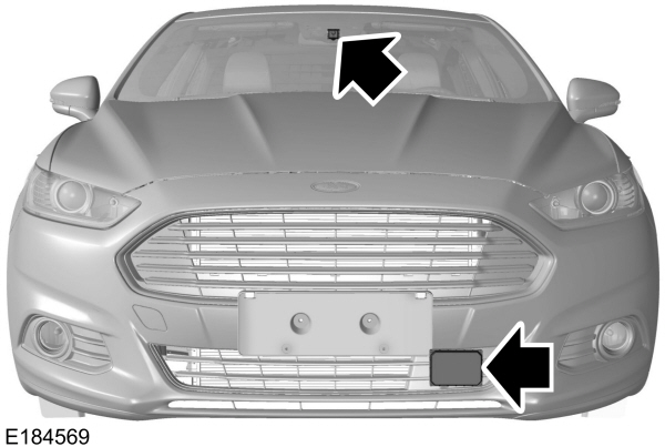 Image Shown Without Description