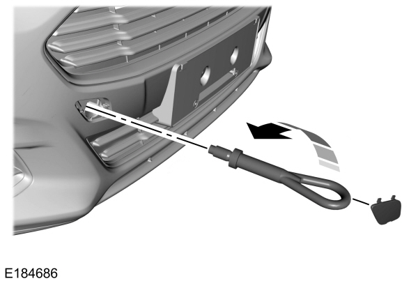 Image Shown Without Description