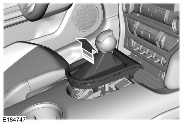 Image Shown Without Description