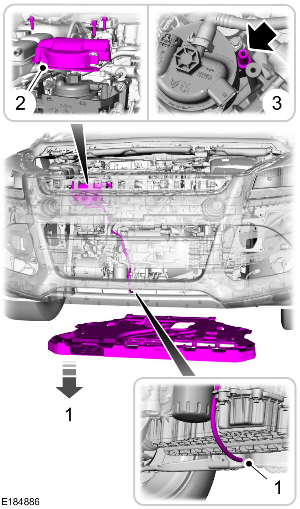 Image Shown Without Description