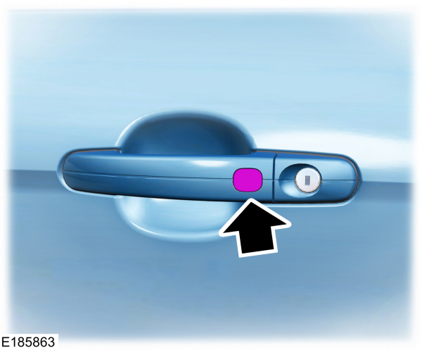 Door Handle/Passive Lock Button