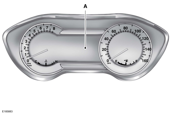 Image Shown Without Description