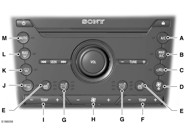 Image Shown Without Description