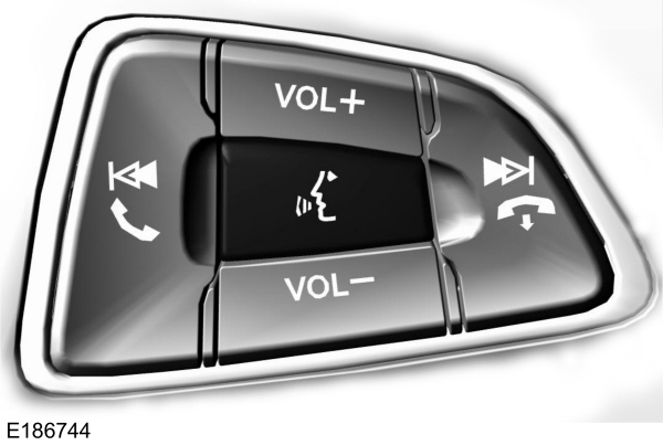 Image Shown Without Description