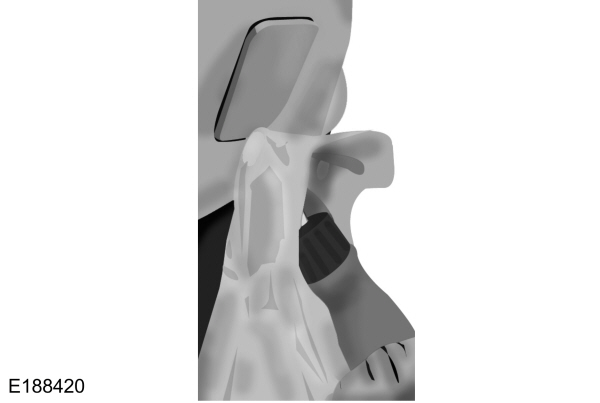 Image Shown Without Description