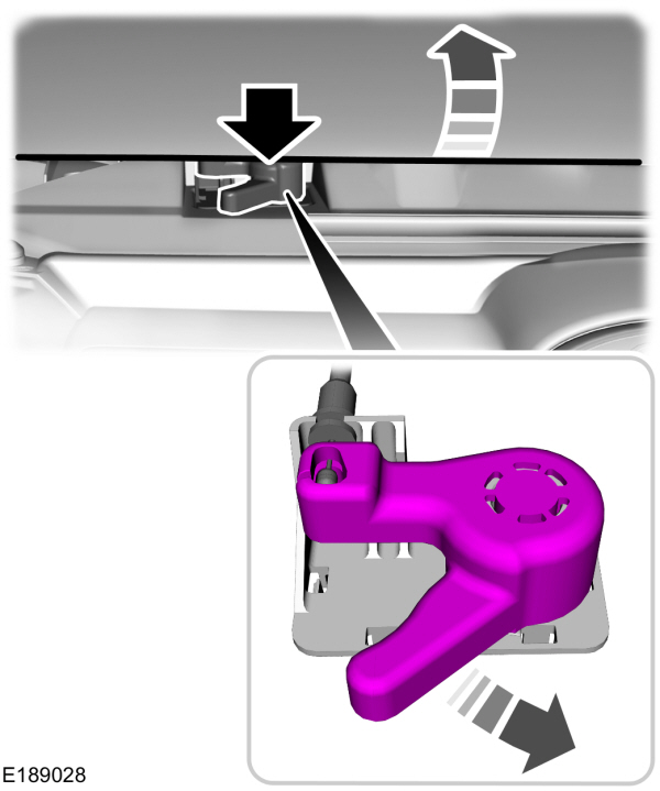 Image Shown Without Description