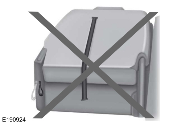 Image Shown Without Description