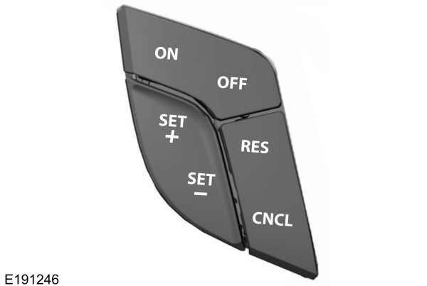 Image Shown Without Description