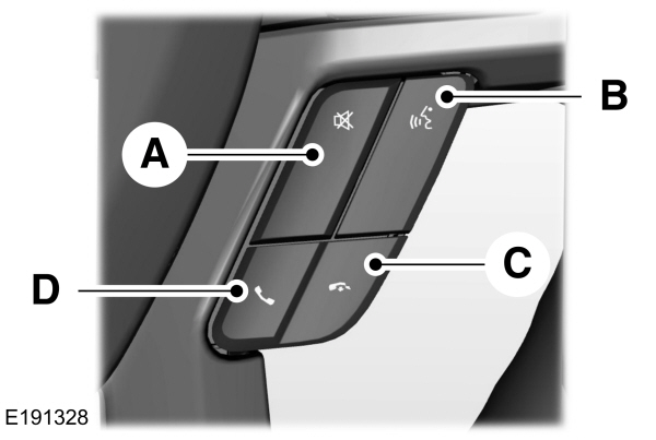Steering Wheel Voice Control