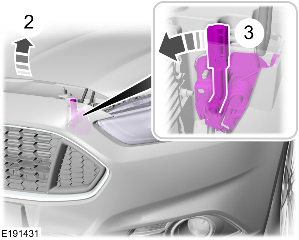 Image Shown Without Description