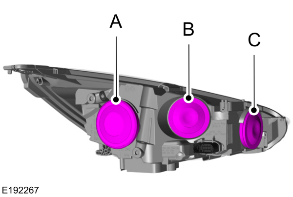 Image Shown Without Description