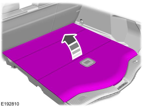 Image Shown Without Description