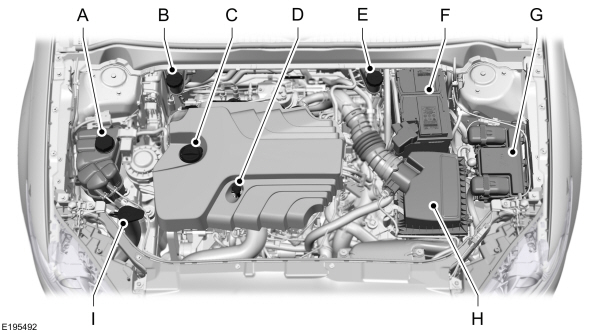 Image Shown Without Description