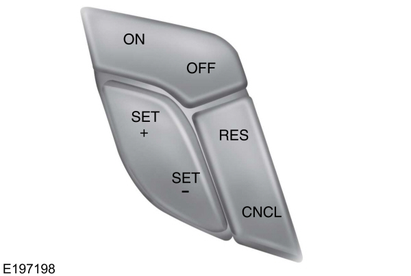 Image Shown Without Description