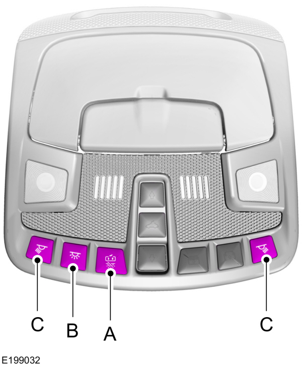 Image Shown Without Description