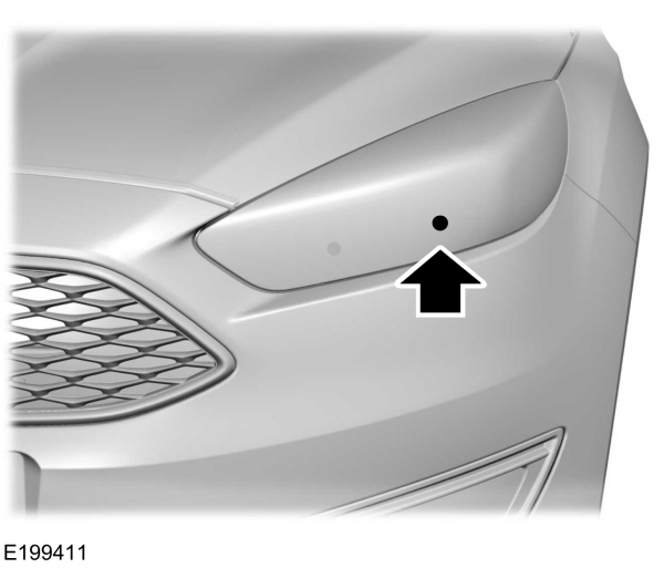 Image Shown Without Description