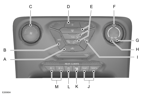 Image Shown Without Description