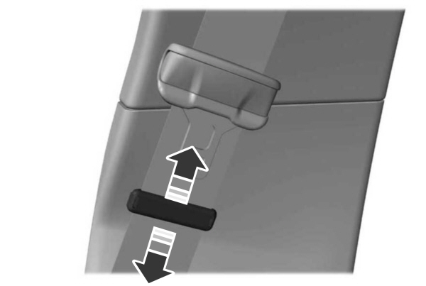 Image Shown Without Description