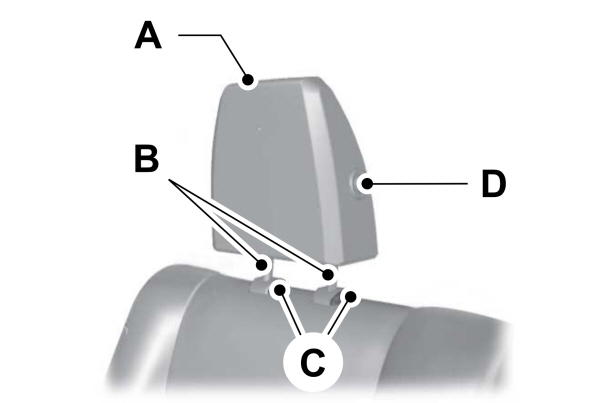 Image Shown Without Description