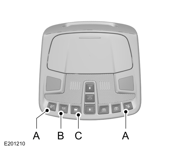Image Shown Without Description