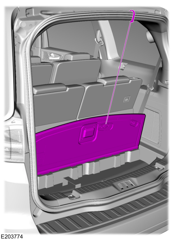 Image Shown Without Description