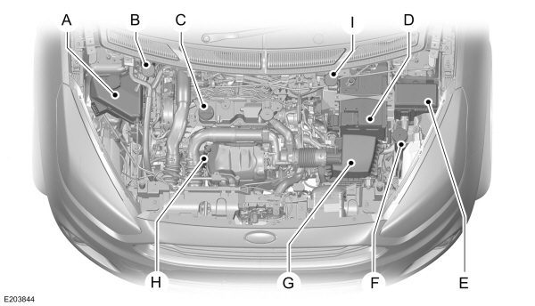 Image Shown Without Description